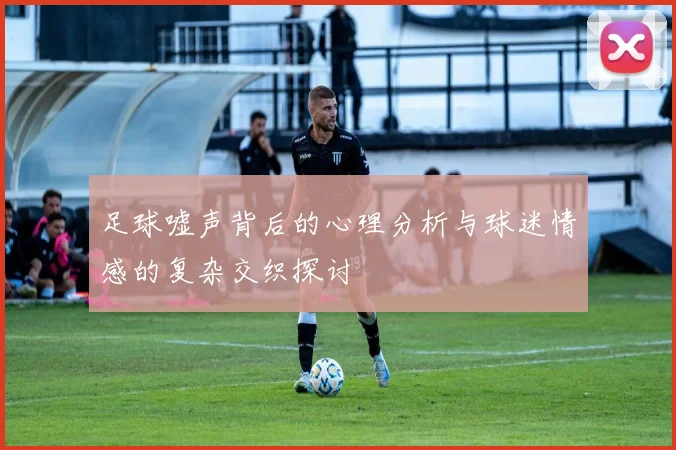 足球嘘声背后的心理分析与球迷情感的复杂交织探讨