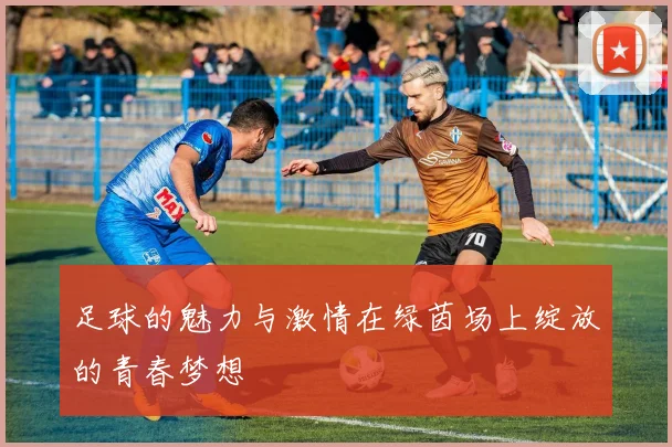 足球的魅力与激情在绿茵场上绽放的青春梦想