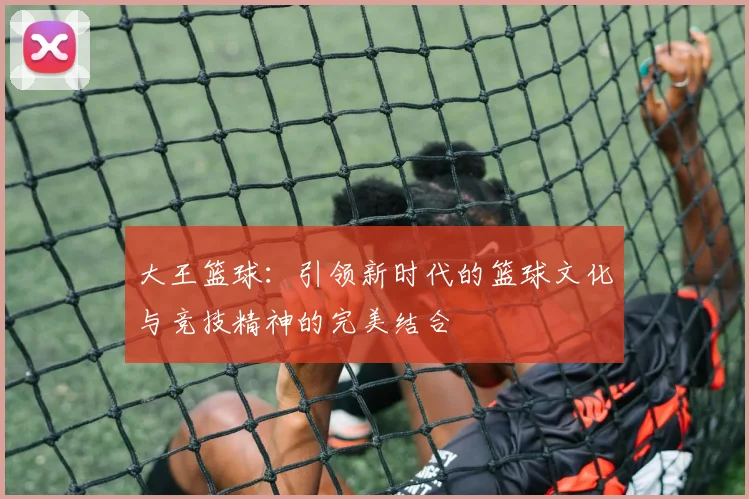 大王篮球：引领新时代的篮球文化与竞技精神的完美结合
