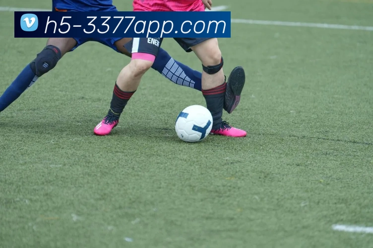 3377体育APP 封面图